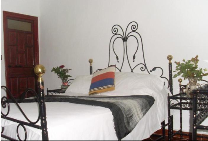 טנג'יר Hostel The Atlas Lion מראה חיצוני תמונה